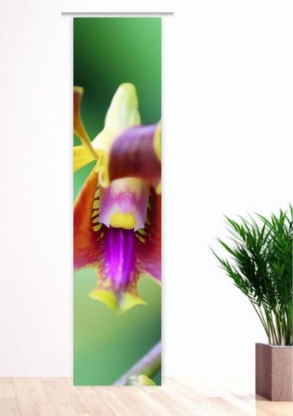 Flächenvorhang Orchideenzeit,  Schiebevorhang, Schiebegardine, modern, 60 cm breit, 2,65 m hoch, 3 m hoch